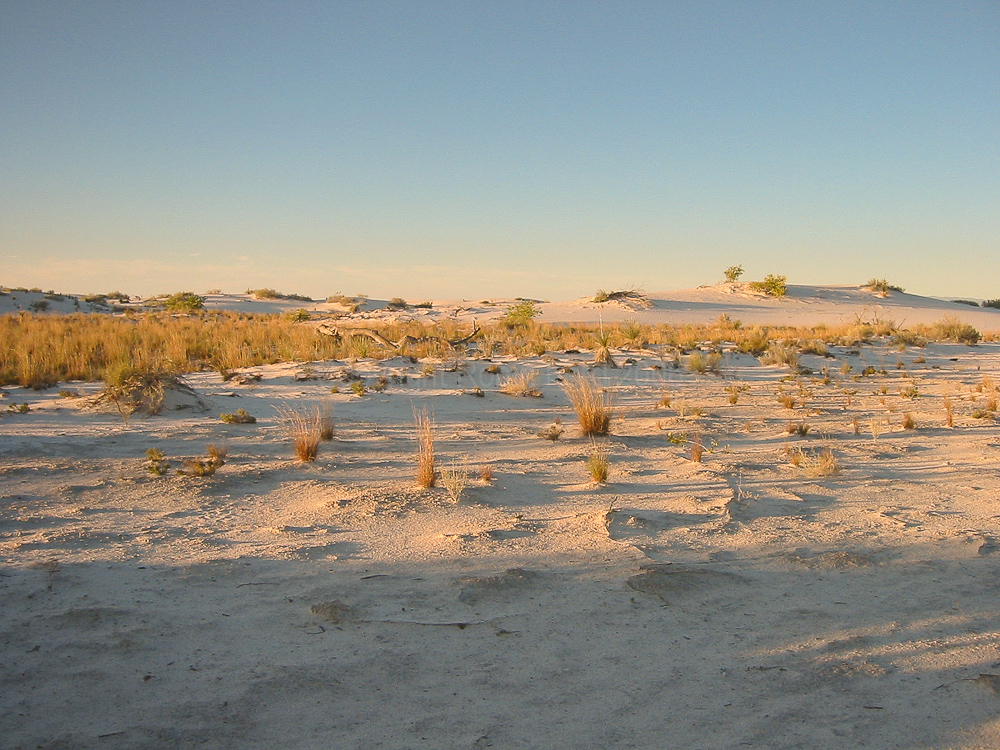 White Sands NM - 20/09/05