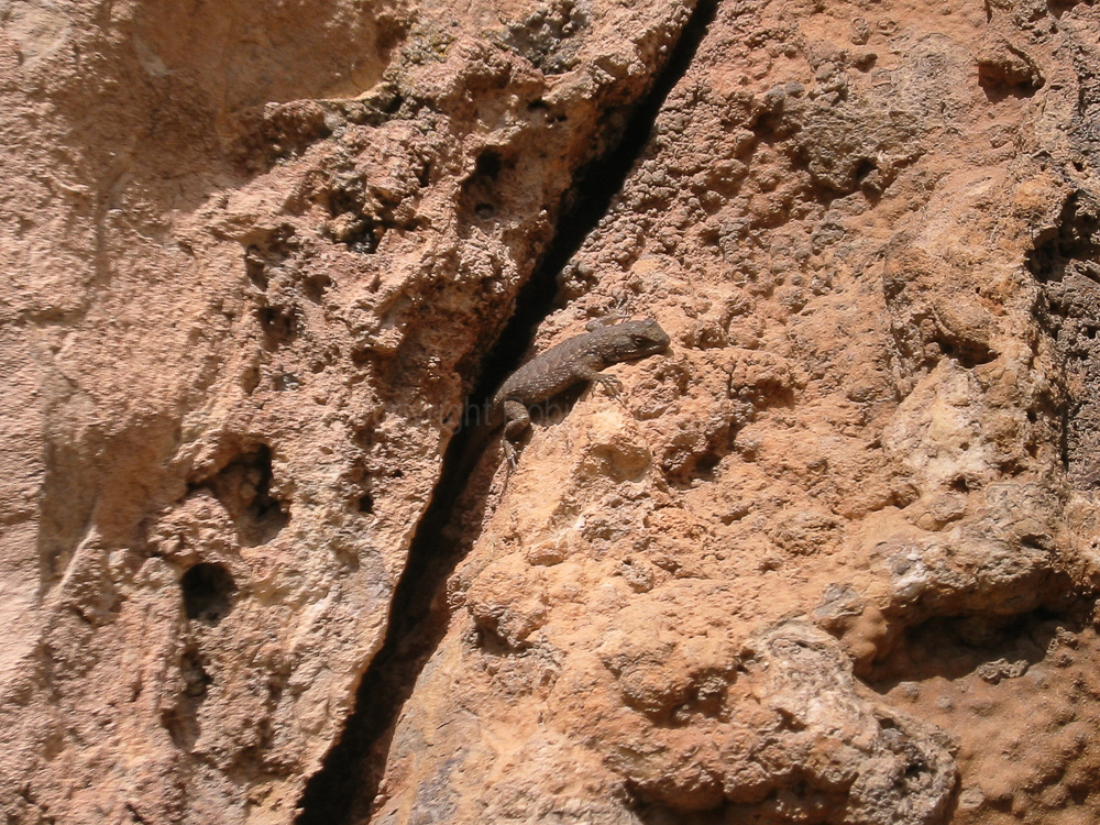 On route from Vail CO to Moab UT - 27/09/05
