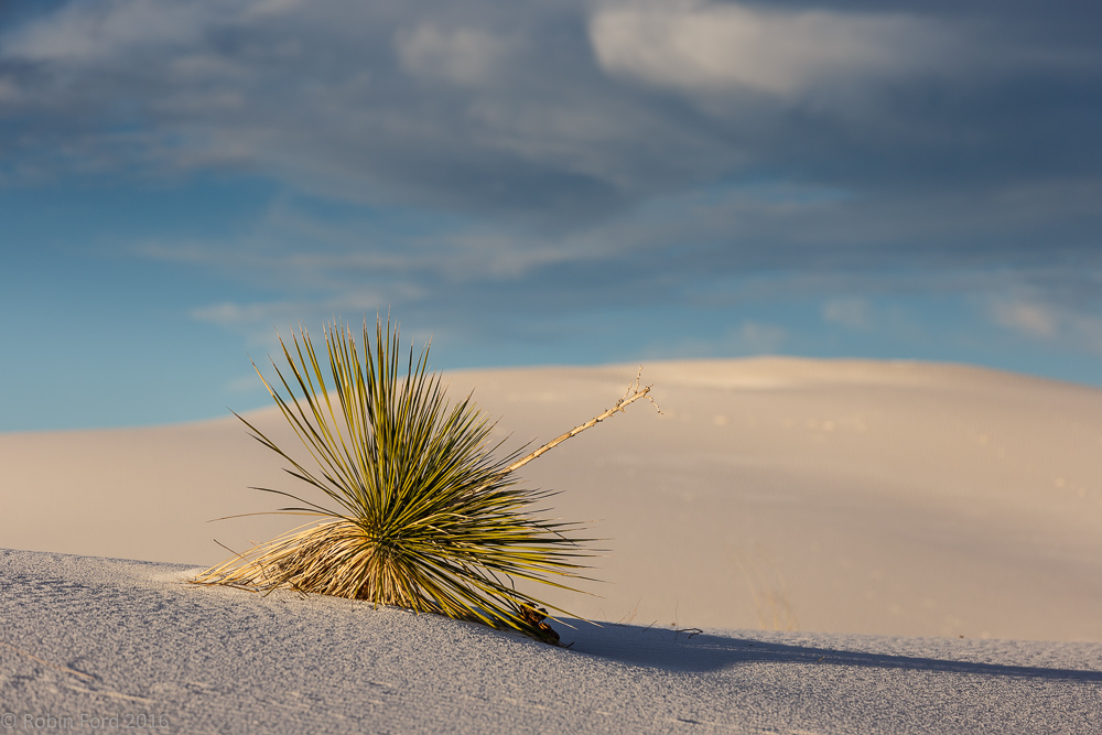 White Sands National Monument New Mexico