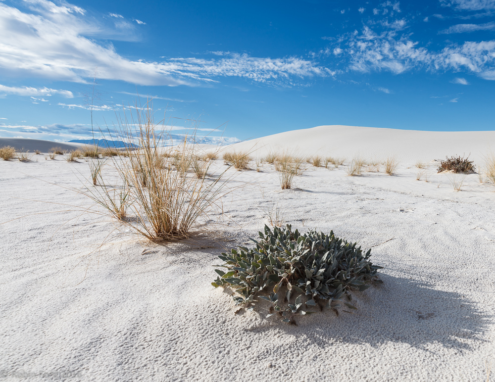 White Sands National Monument New Mexico