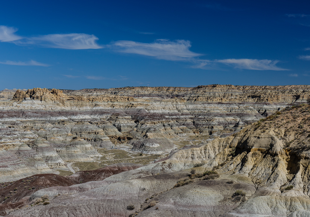 New Mexico