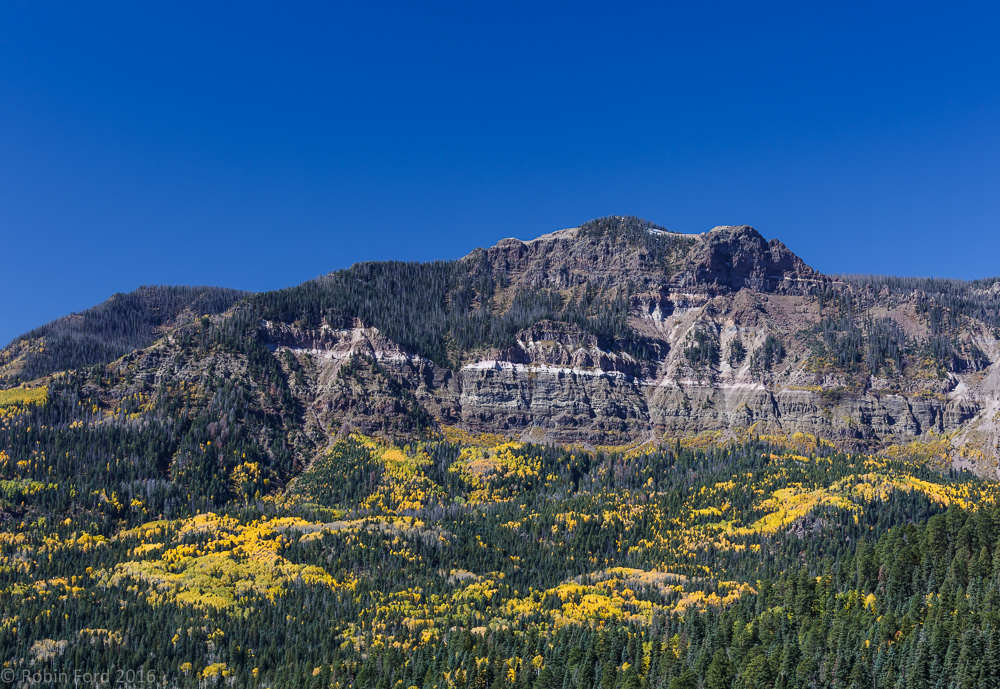 Creede