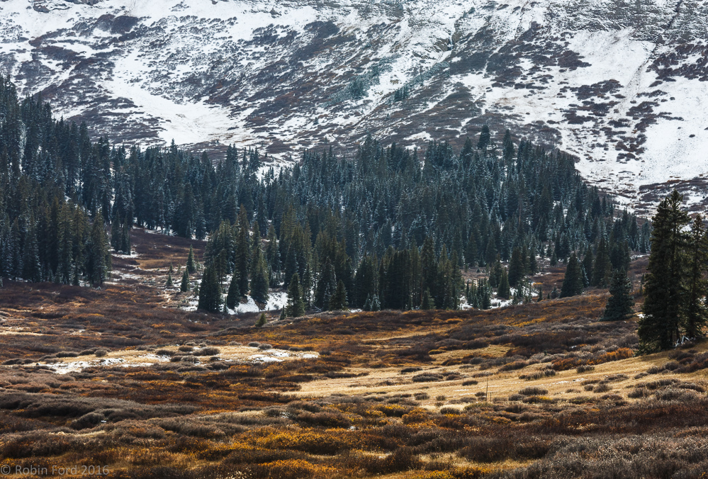 Twin Lakes