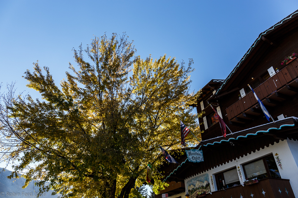 Aspen