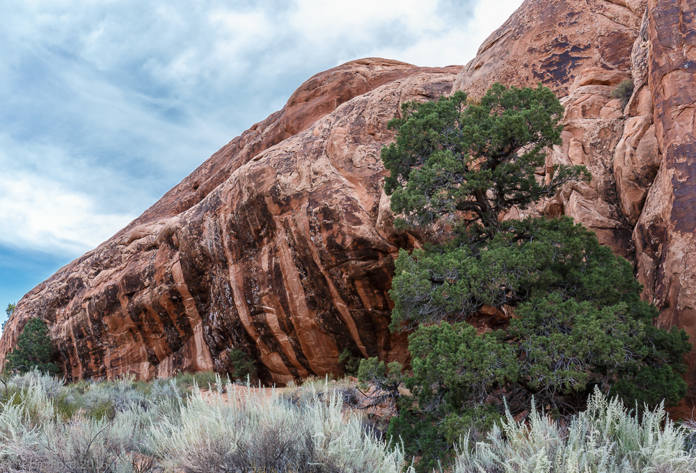 Arches National Park Utah