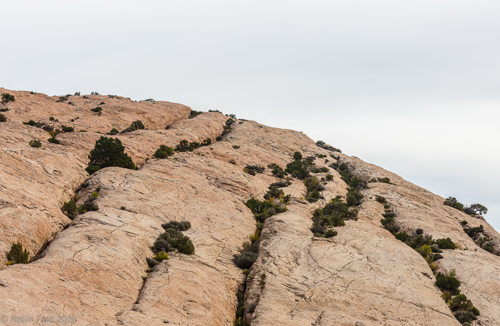 Arches National Park Utah