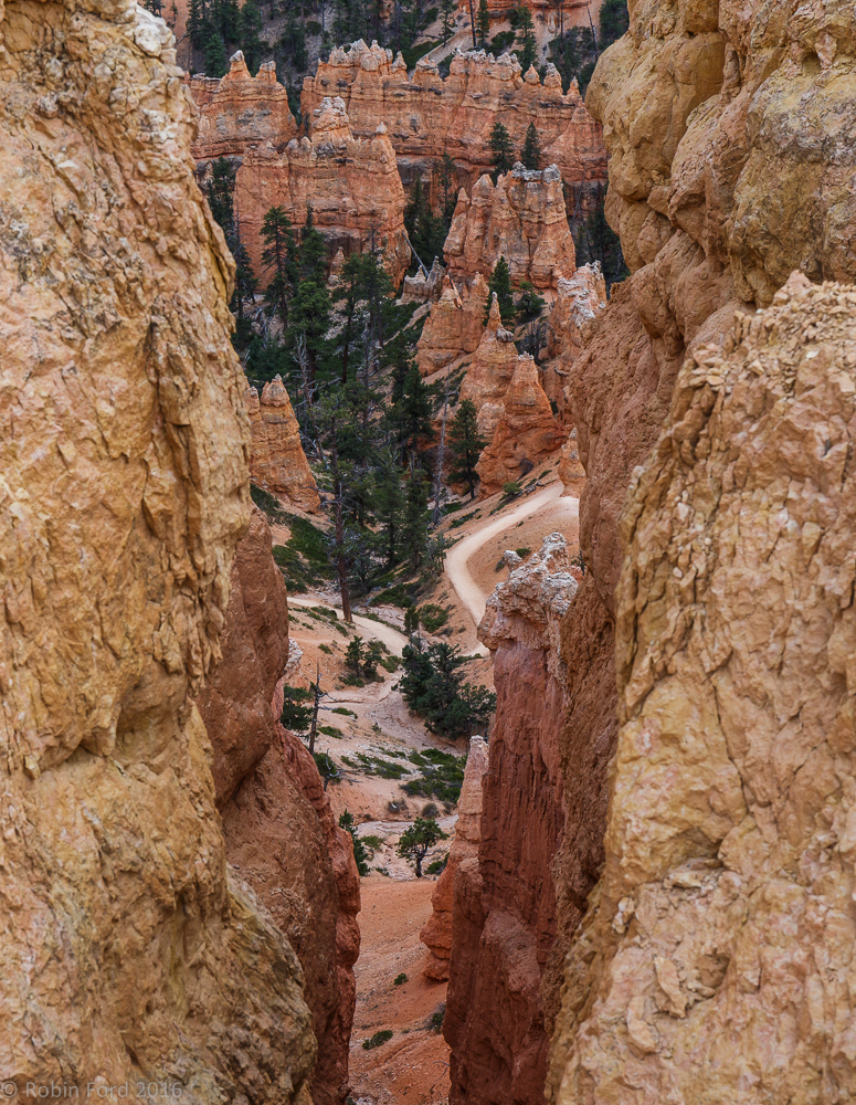 Bryce Canyon National Park Utah 