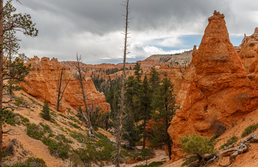Bryce Canyon National Park Utah 
