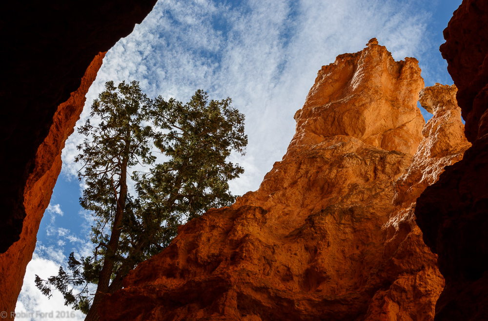 Bryce Canyon National Park Utah 