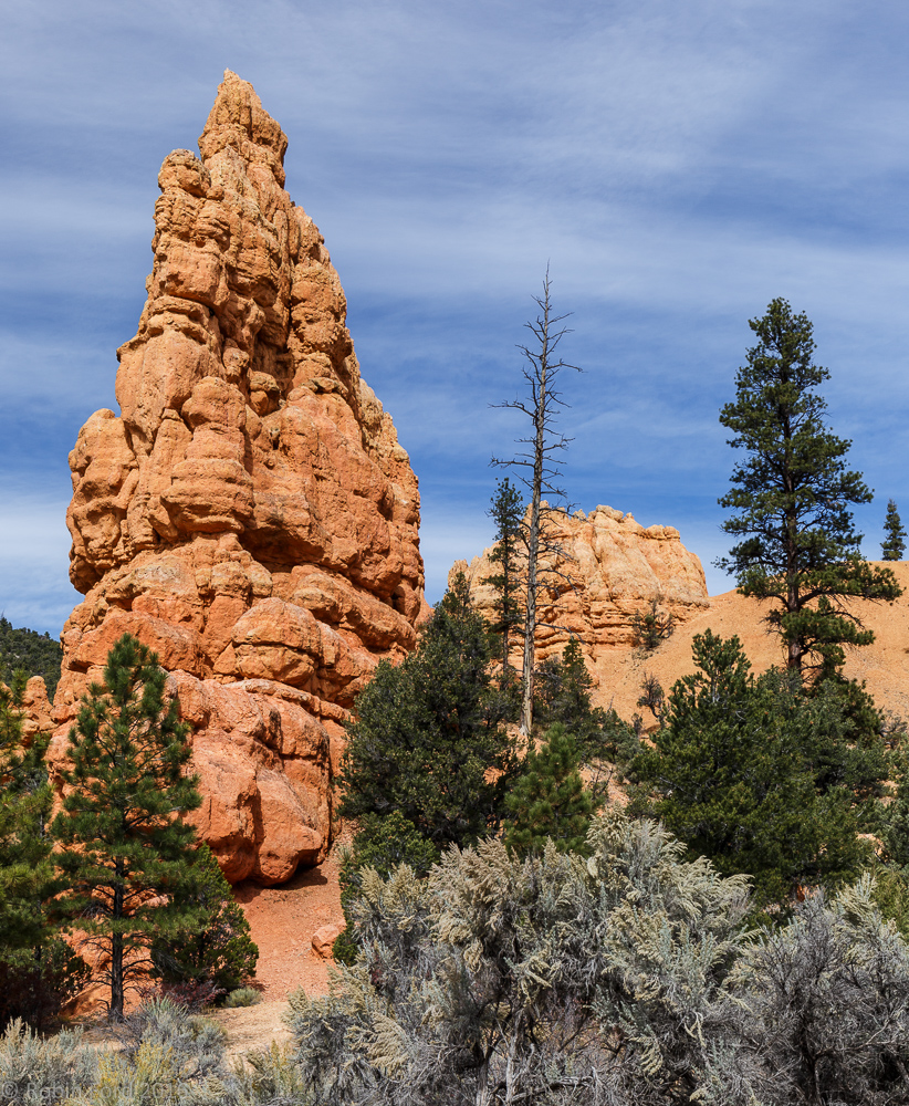 Near Bryce Canyon Utah