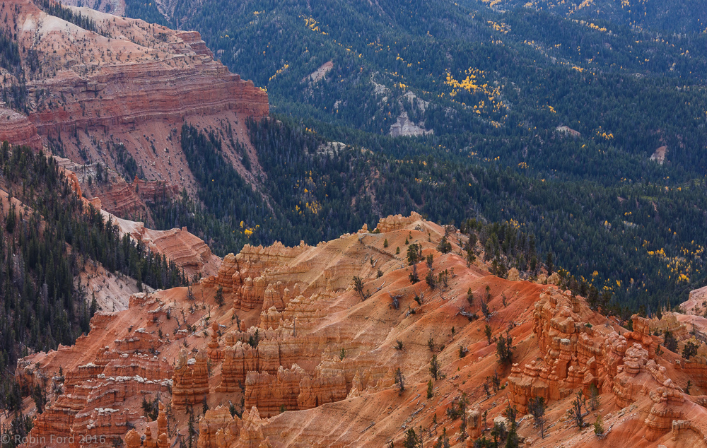 Cedar Breaks National Monument Utah