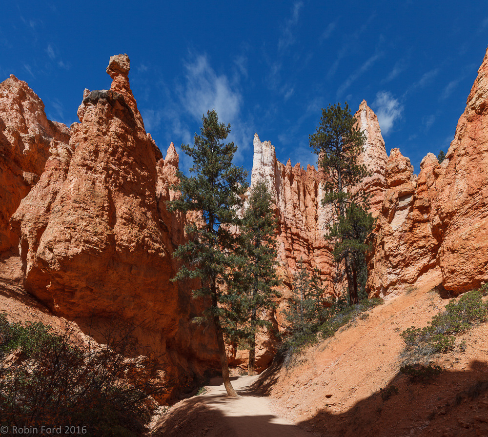 Bryce Canyon National Park Utah 