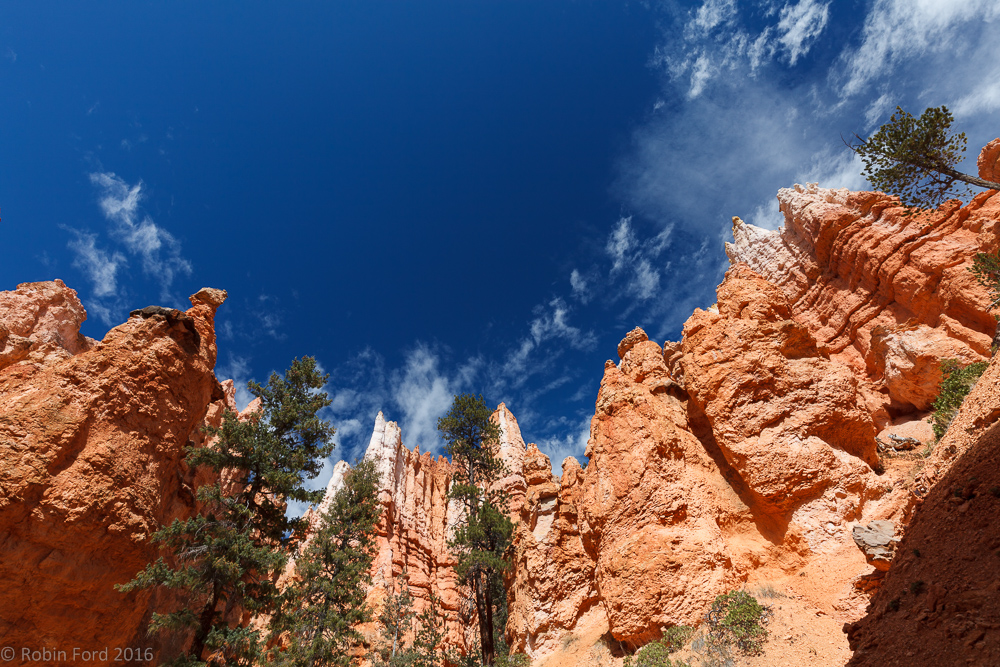 Bryce Canyon National Park Utah 