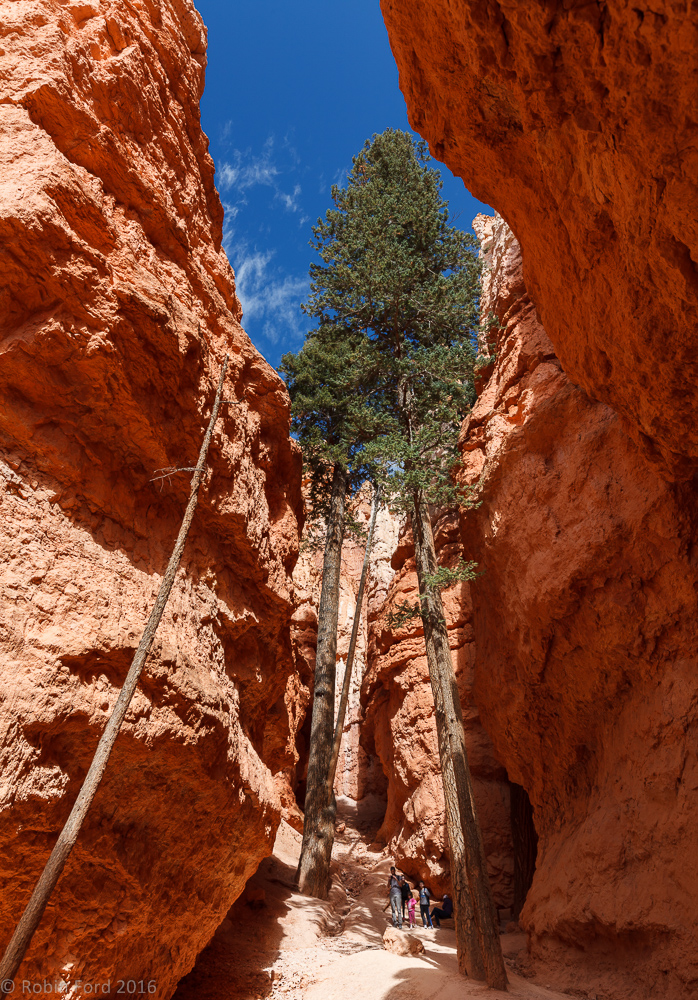 Bryce Canyon National Park Utah 