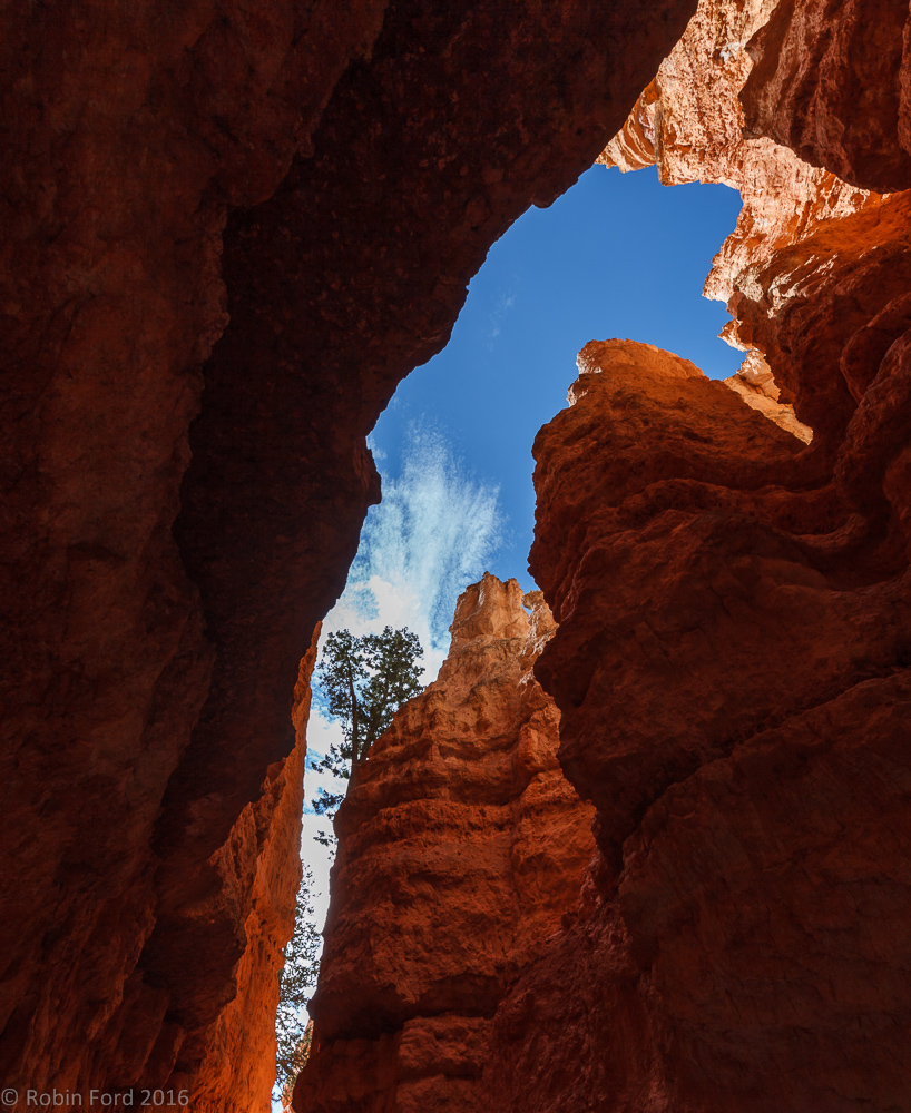 Bryce Canyon National Park Utah 