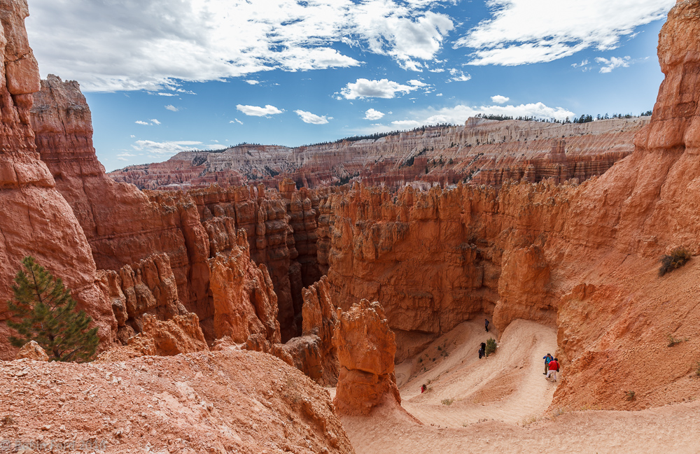 Bryce Canyon National Park Utah 