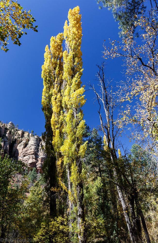 Oak Creek Canyon Arizona