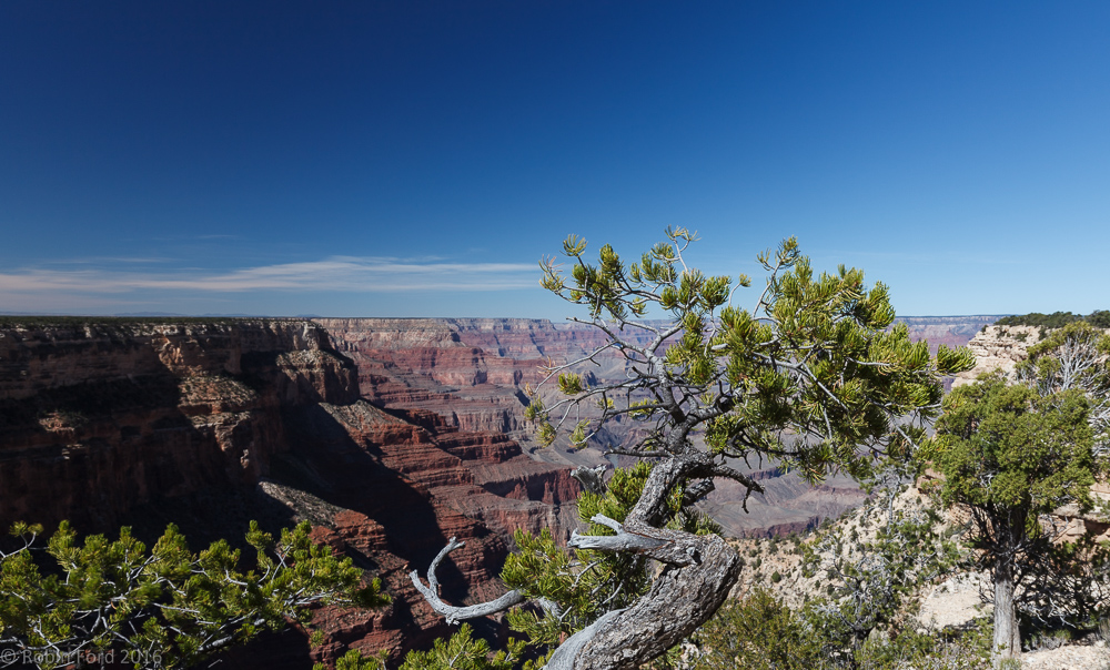 Grand Canyon National Park Arizona