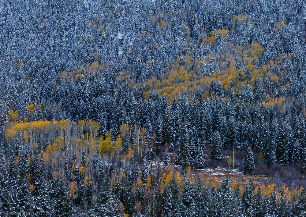 Aspen