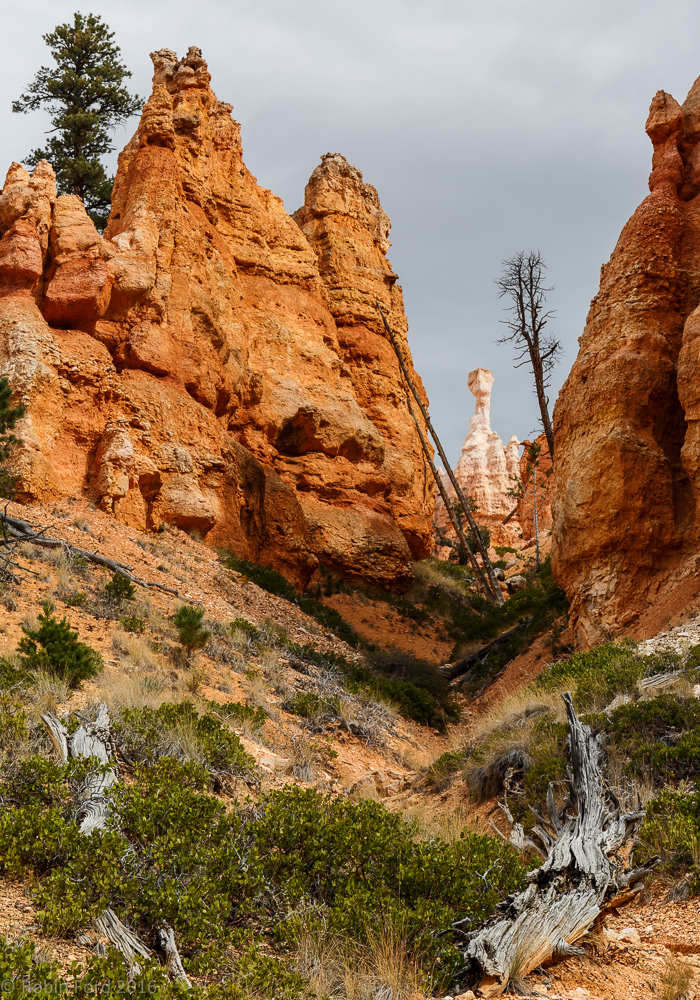 Bryce Canyon National Park Utah 