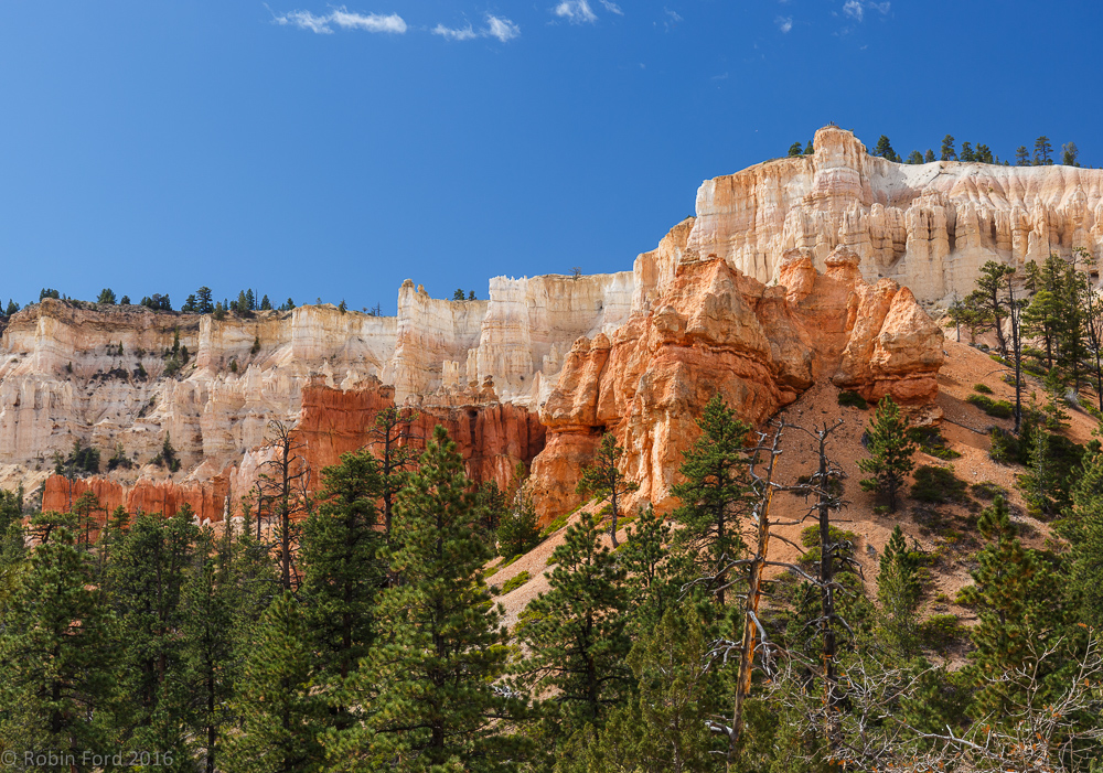 Bryce Canyon National Park Utah 