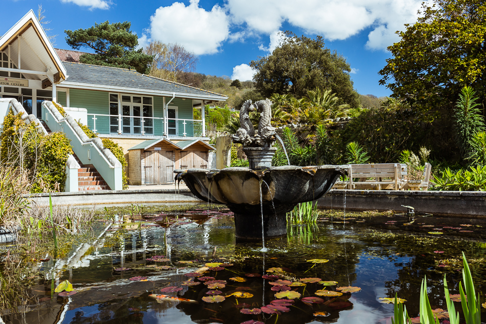 Ventnor Botanic Garden