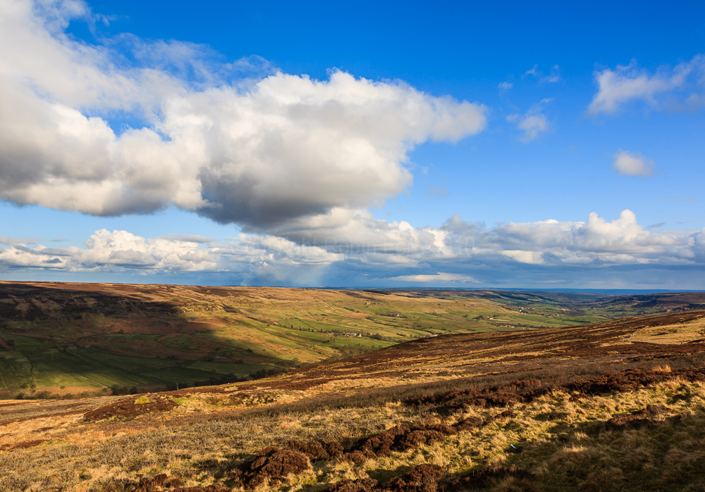 North Yorkshire Moors