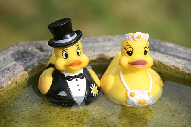 Tom and Hilda Celebrate Our Day