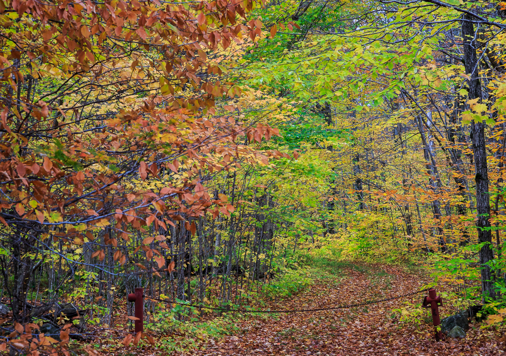 Algonquin Provincial Park