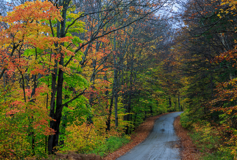 Algonquin Provincial Park