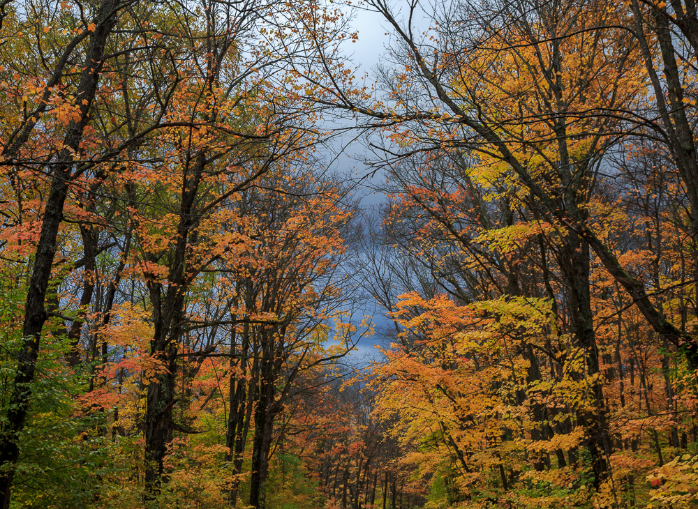 Algonquin Provincial Park