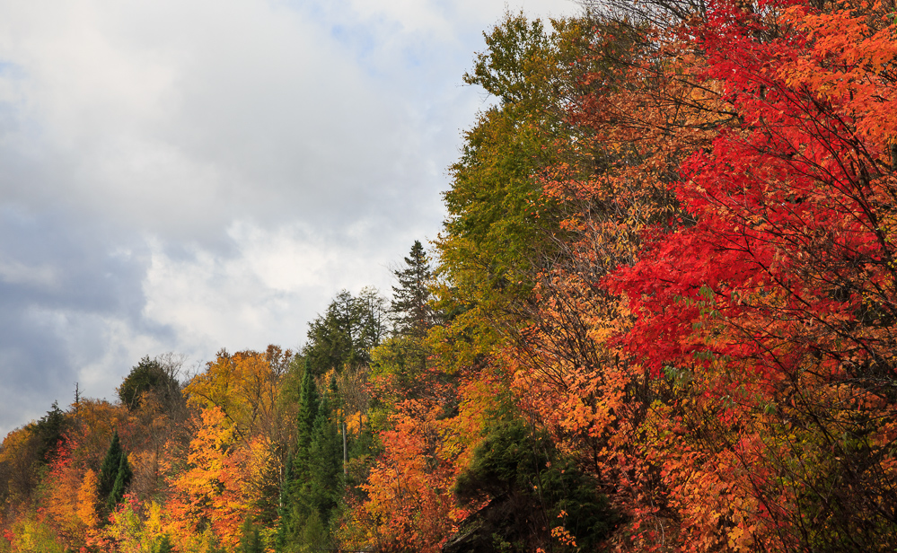 Algonquin Provincial Park