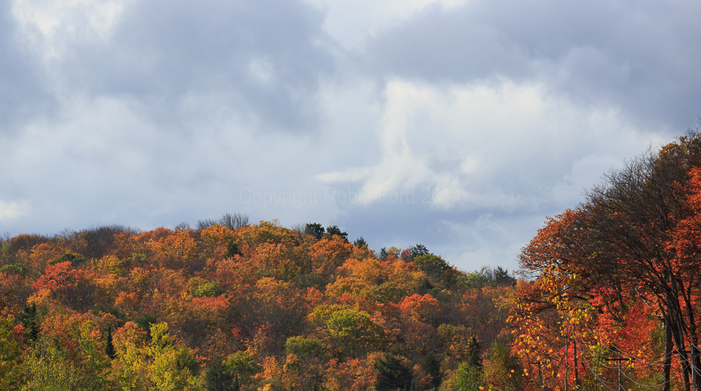 Algonquin Provincial Park