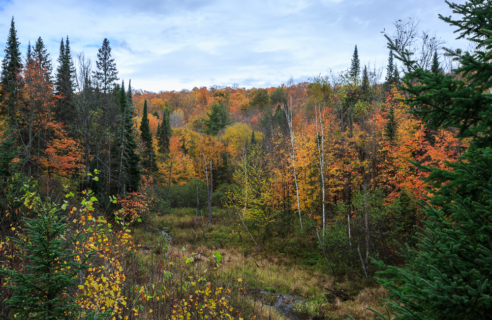 Highway 60 west of Algonquin Park