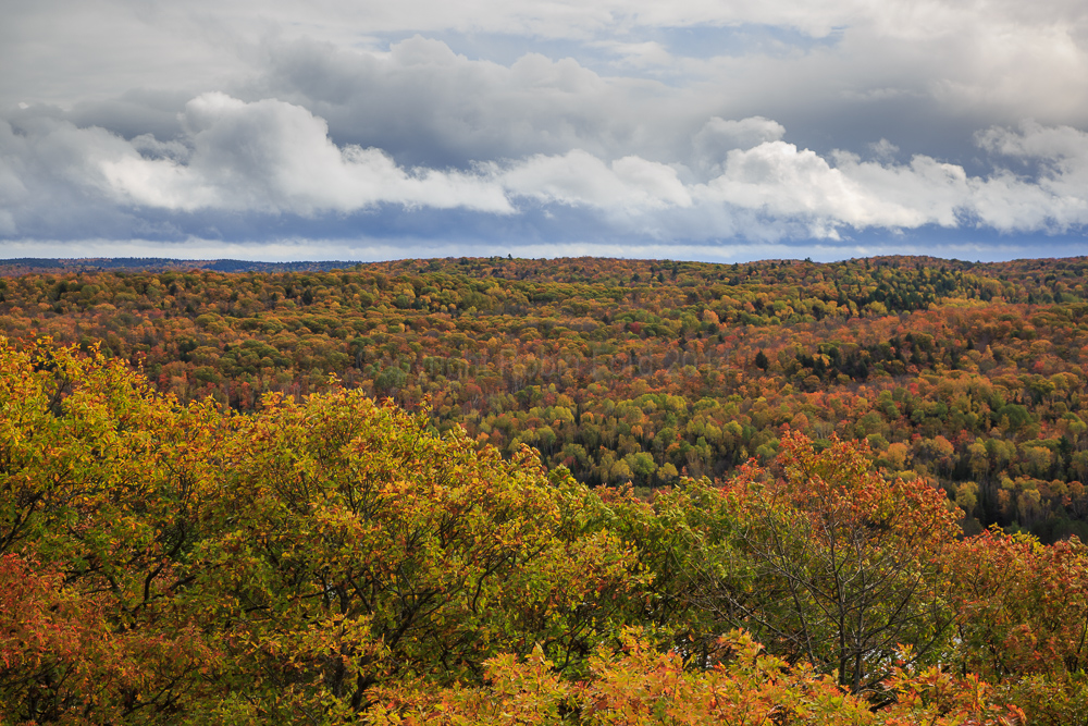Dorset Lookout Tower, ON