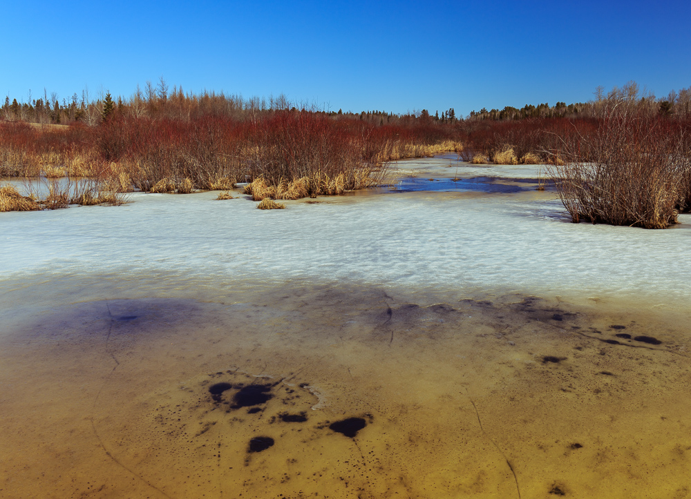 Bonnechere Valley