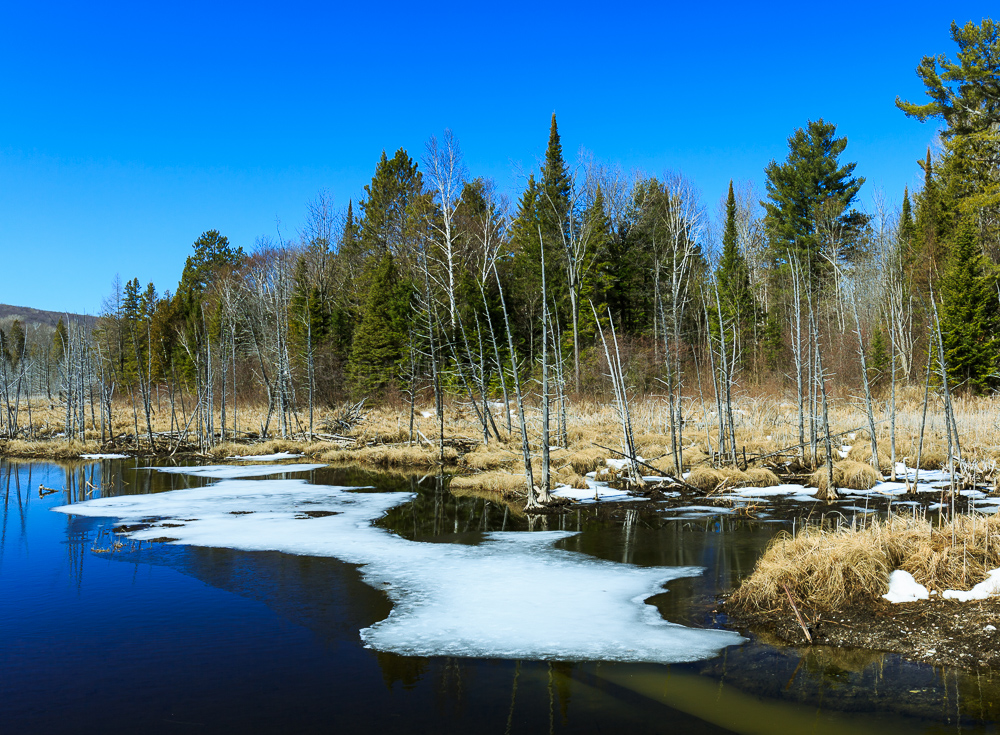Bonnechere Valley