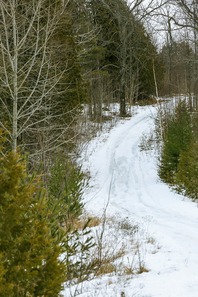 Goshen Road