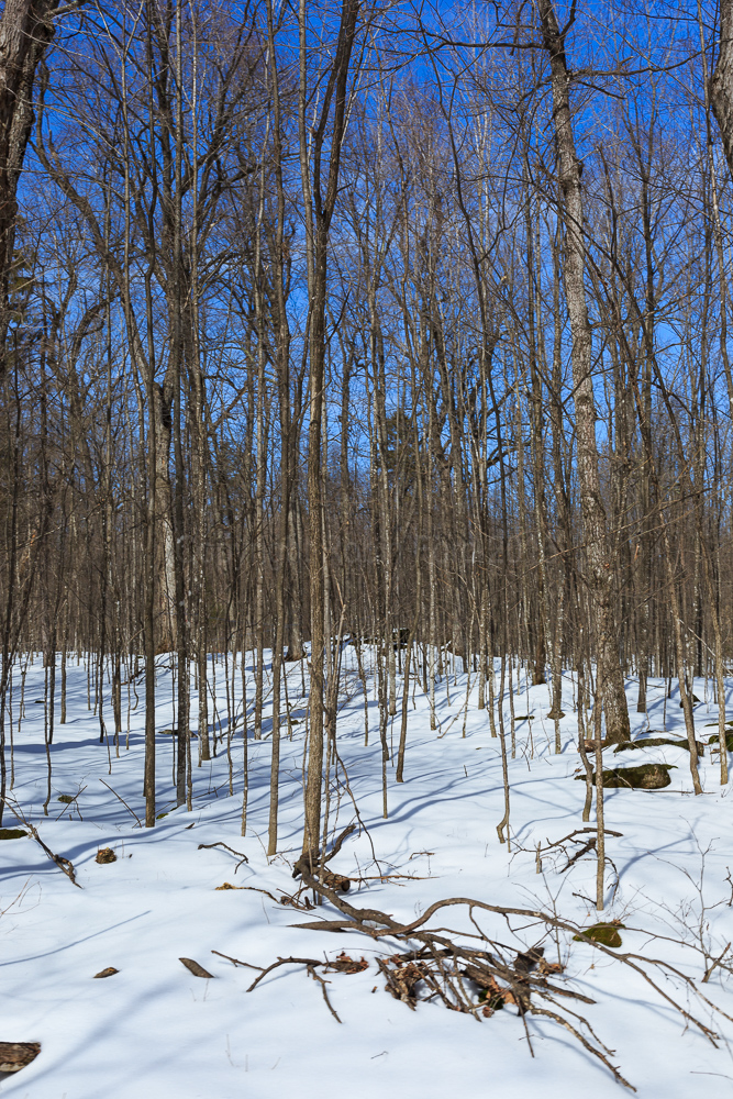 Fulton’s Pancake House and Sugar Bush