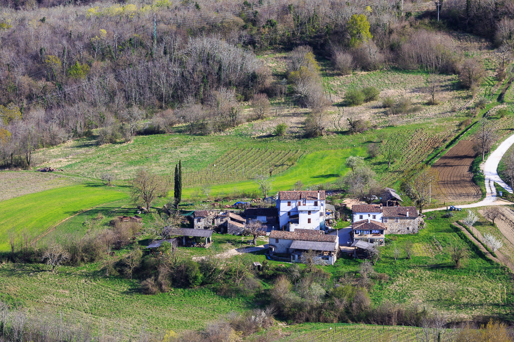 Motovun