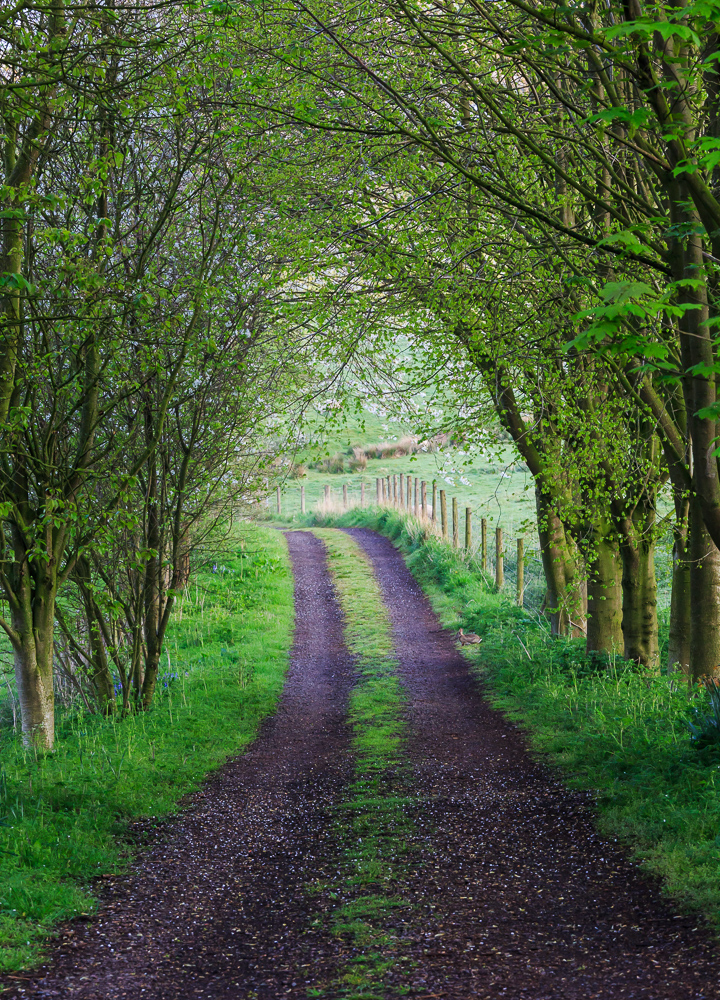 Osmaston