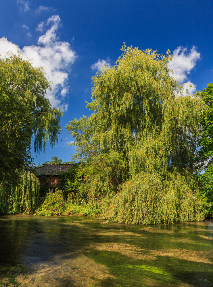 River Test, near Romsey Hampshire