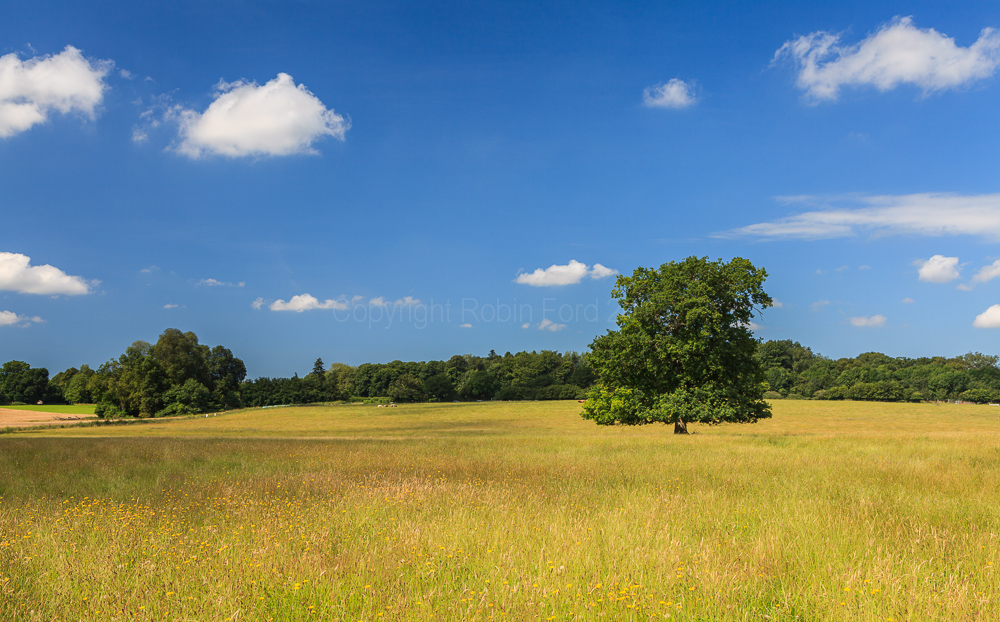 Near Romsey, Hampshire