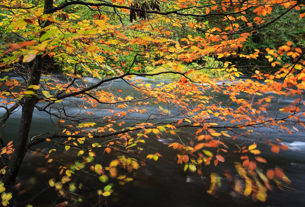 River Rothay