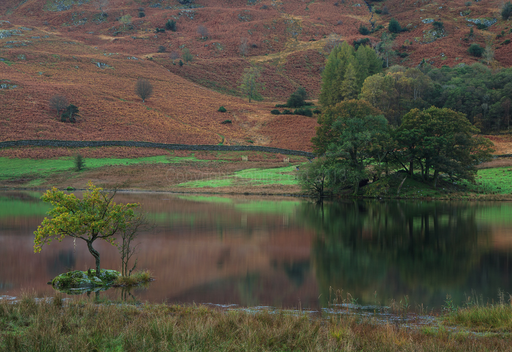Rydal Water