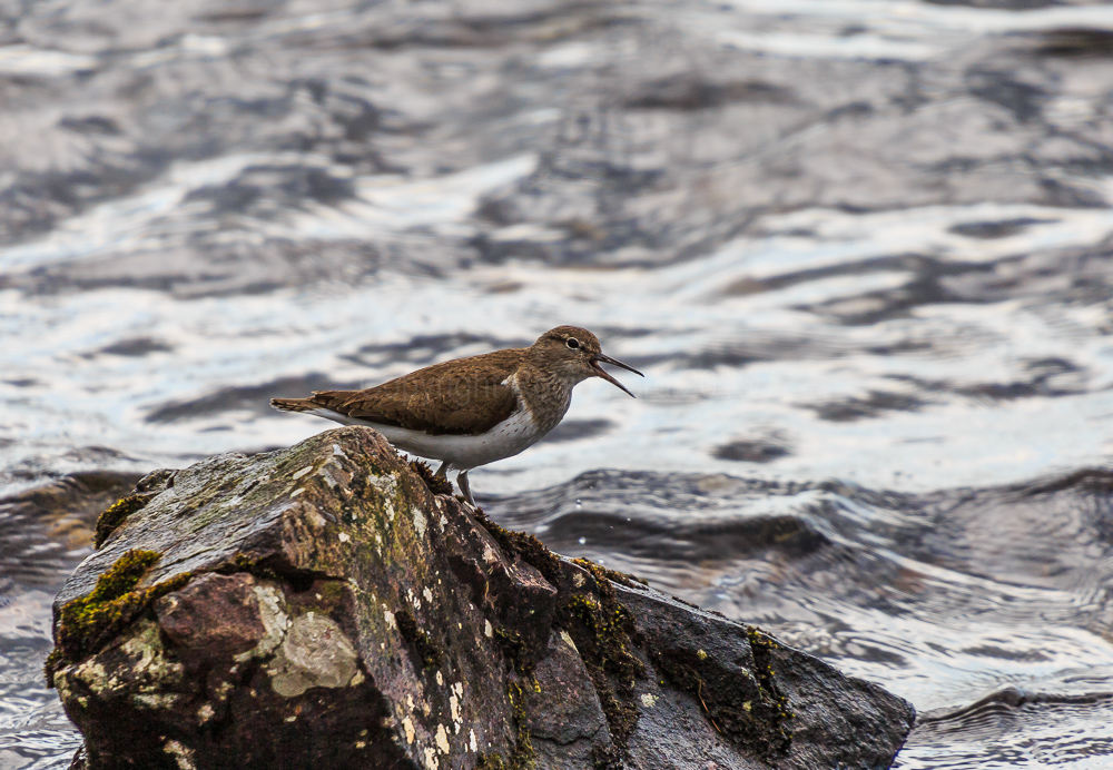 Ennerdale Water