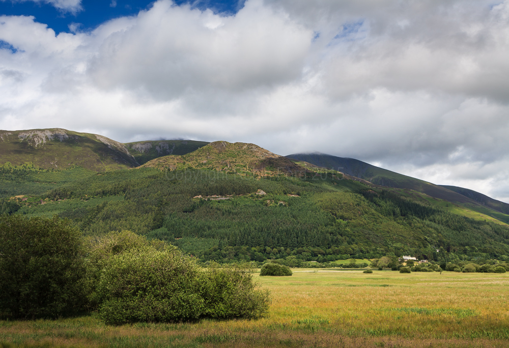 Dodd Fell
