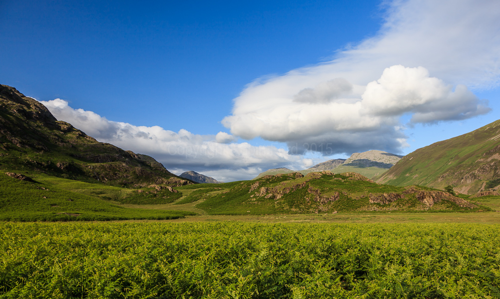 Wasdale