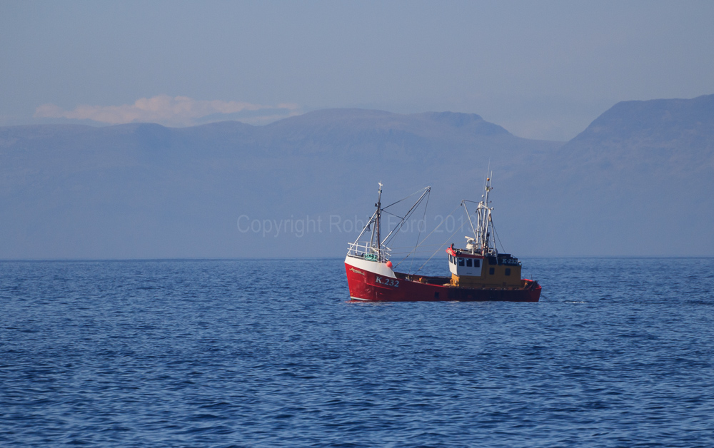 In the Sound of Mull