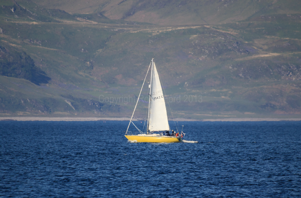 In the Sound of Mull